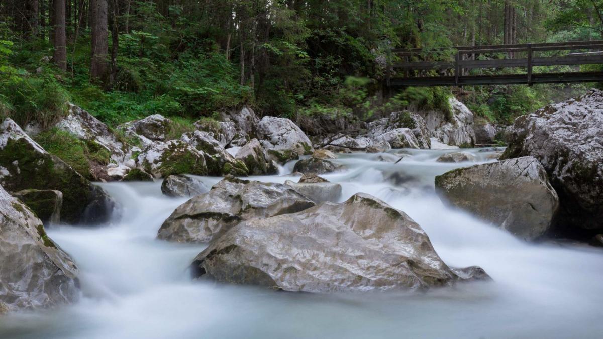 Der Zauberwald am Hintersee