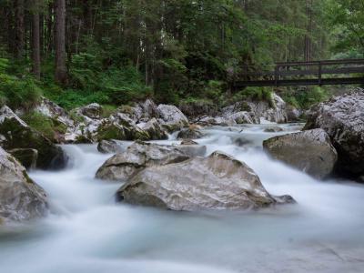 Der Zauberwald am Hintersee