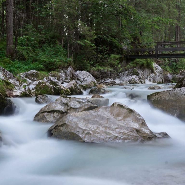 Der Zauberwald am Hintersee
